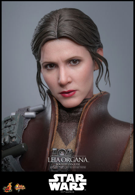 Hot Toys 1/6 MMS854 - Star Wars: Return of the JediT - Leia Organa (Boushh Disguise) PRE-ORDER