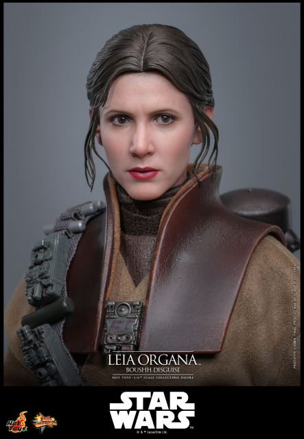 Hot Toys 1/6 MMS854 - Star Wars: Return of the JediT - Leia Organa (Boushh Disguise) PRE-ORDER