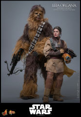 Hot Toys 1/6 MMS854 - Star Wars: Return of the JediT - Leia Organa (Boushh Disguise) PRE-ORDER