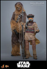 Hot Toys 1/6 MMS854 - Star Wars: Return of the JediT - Leia Organa (Boushh Disguise) PRE-ORDER