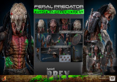 Hot Toys 1/6 TMS173 - Prey - Feral Predator (Battle Damaged Version) PRE-ORDER