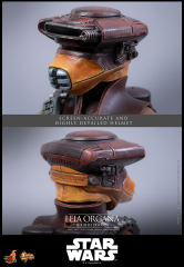 Hot Toys 1/6 MMS854 - Star Wars: Return of the JediT - Leia Organa (Boushh Disguise) PRE-ORDER