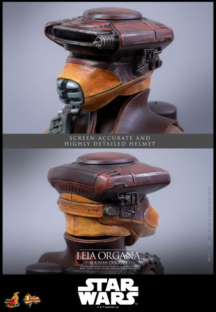 Hot Toys 1/6 MMS854 - Star Wars: Return of the JediT - Leia Organa (Boushh Disguise) PRE-ORDER