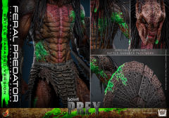 Hot Toys 1/6 TMS173 - Prey - Feral Predator (Battle Damaged Version) PRE-ORDER