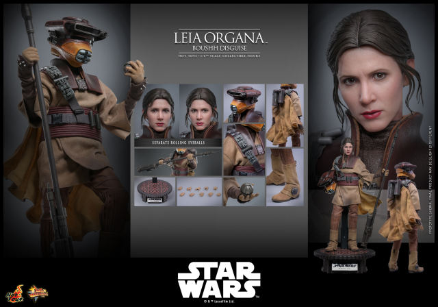 Hot Toys 1/6 MMS854 - Star Wars: Return of the JediT - Leia Organa (Boushh Disguise) PRE-ORDER