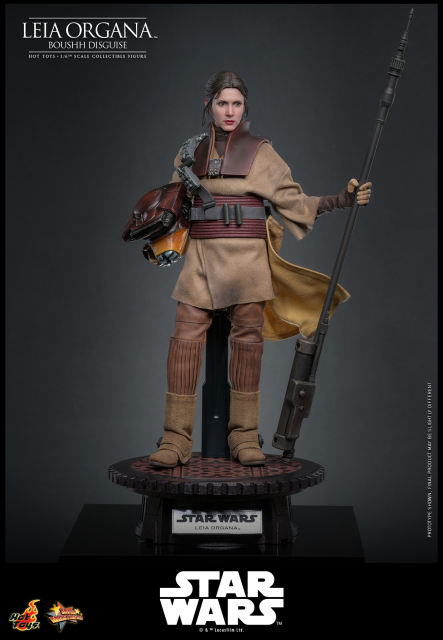 Hot Toys 1/6 MMS854 - Star Wars: Return of the JediT - Leia Organa (Boushh Disguise) PRE-ORDER