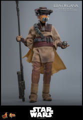 Hot Toys 1/6 MMS854 - Star Wars: Return of the JediT - Leia Organa (Boushh Disguise) PRE-ORDER