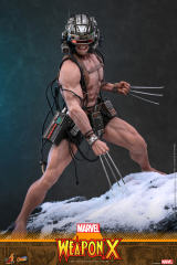Hot Toys 1/6 CMS034 – Marvel Comics - 1/6th scale Weapon X PRE-ORDER