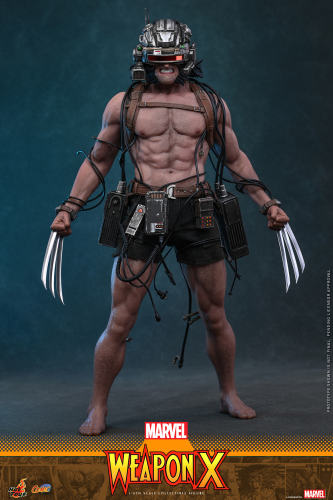 Hot Toys 1/6 CMS034 – Marvel Comics - 1/6th scale Weapon X PRE-ORDER