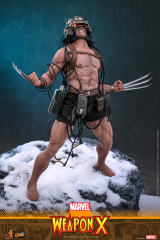 Hot Toys 1/6 CMS034 – Marvel Comics - 1/6th scale Weapon X PRE-ORDER