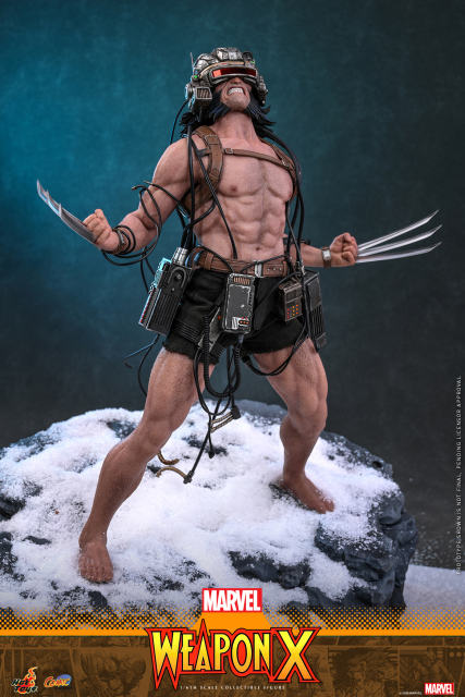 Hot Toys 1/6 CMS034 – Marvel Comics - 1/6th scale Weapon X PRE-ORDER