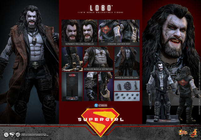 Hot Toys 1/6 MMS890 – Supergirl™ - Lobo PRE-ORDER