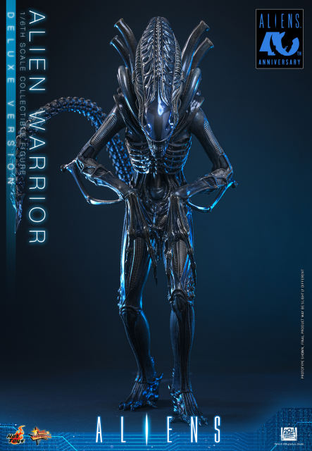 Hot Toys 1/6 MMS899 – Aliens - Alien Warrior (Deluxe Version) PRE-ORDER