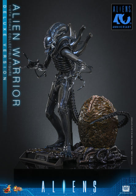 Hot Toys 1/6 MMS899 – Aliens - Alien Warrior (Deluxe Version) PRE-ORDER
