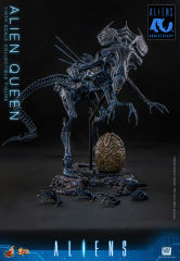 Hot Toys 1/6 MMS903 - Aliens - Alien Queen PRE-ORDER