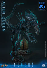 Hot Toys 1/6 MMS903 - Aliens - Alien Queen PRE-ORDER