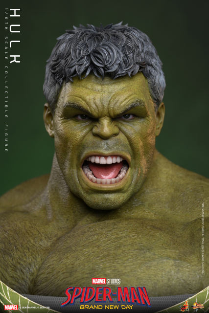 Hot Toys 1/6 MMS905 – Spider-Man: Brand New Day - Hulk PRE-ORDER
