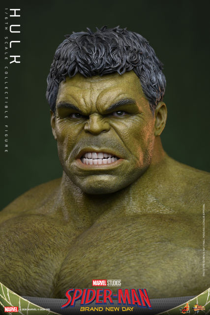 Hot Toys 1/6 MMS905 – Spider-Man: Brand New Day - Hulk PRE-ORDER