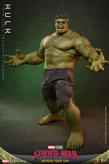 Hot Toys 1/6 MMS905 – Spider-Man: Brand New Day - Hulk PRE-ORDER
