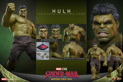 Hot Toys 1/6 MMS905 – Spider-Man: Brand New Day - Hulk PRE-ORDER
