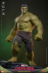 Hot Toys 1/6 MMS905 – Spider-Man: Brand New Day - Hulk PRE-ORDER