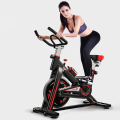 1266FL Fitness Equipment Indoor Weight Loss Campaign Unisex Spinning Bike Cycling Machine