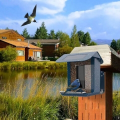 BF001 smart Wifi Bird Recognition Feeder with solar panel