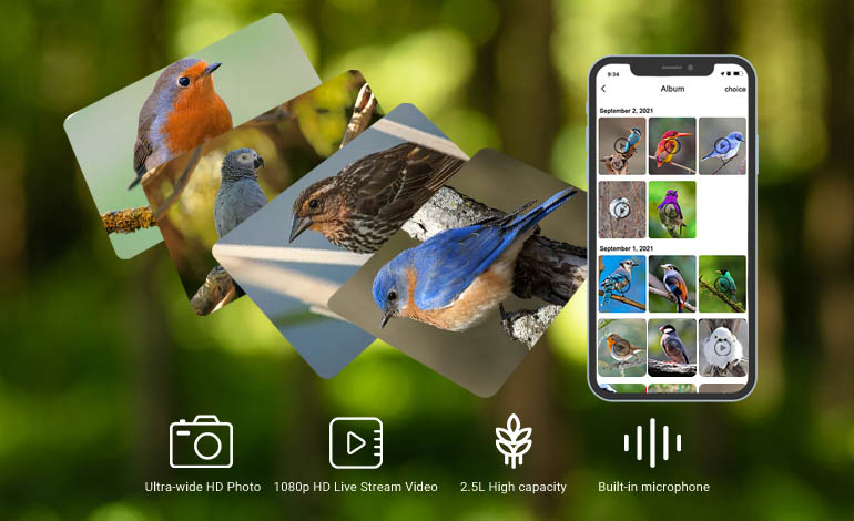 Bird Lover ---Smart bird recognition feeder