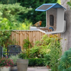 BF002 smart Wifi Bird Recognition Feeder with solar panel