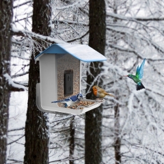 BF002 smart Wifi Bird Recognition Feeder with solar panel