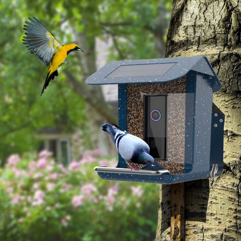 A new innovative smart bird feeder with camera, make birdwatching more easy