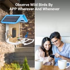 BF11 Smart Wifi Bird Recognition Feeder With Dual Solar Panel