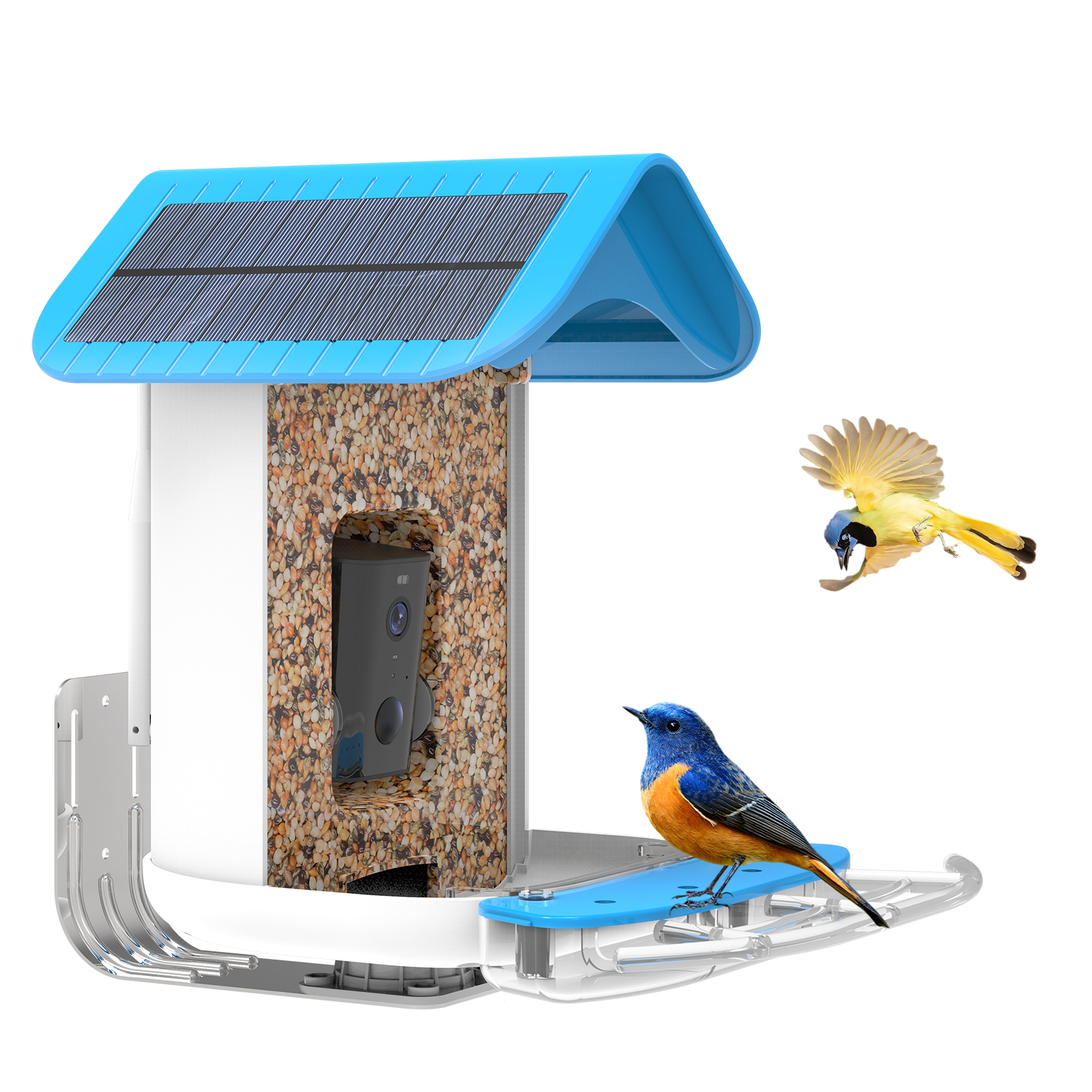 Bird Detective and bird identify Smart Bird Feeder with solar panel