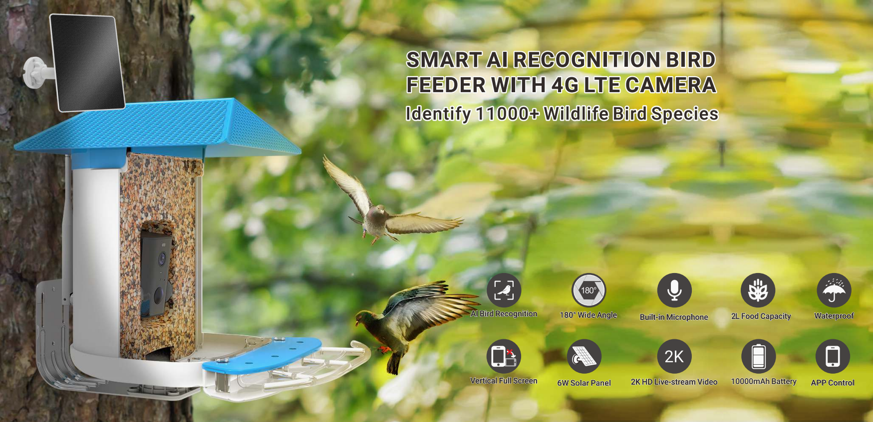BF19B Smart Bird Feeder with 4G LTE Camera,Smart Bird Feeder With 4G LTE  Camera