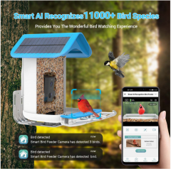 BF19A 4G Lte Smart Wifi Bird Recognition Feeder