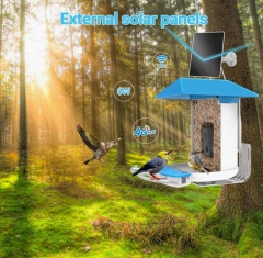 BF19B Smart Bird Feeder with 4G LTE Camera