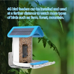 BF19A 4G Lte Smart Wifi Bird Recognition Feeder