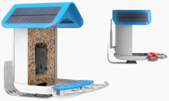 BF19A 4G Lte Smart Wifi Bird Recognition Feeder