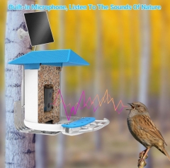 BF19B Smart Bird Feeder with 4G LTE Camera