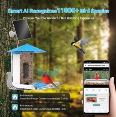 BF19D Smart Bird Feeder with 4G LTE Camera