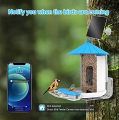 BF19C Smart Bird Feeder with 4G LTE Camera