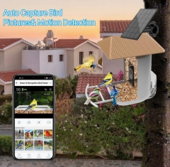 BF13 Smart Bird Feeder with WI-FI Camera