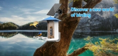 BF21 Smart Bird Feeder with WI-FI Camera