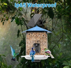 BF21 Smart Bird Feeder with WI-FI Camera