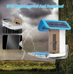 BF23B Smart Bird Feeder with WI-FI Camera
