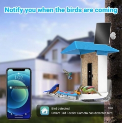 BF23C Smart Bird Feeder with WI-FI Camera