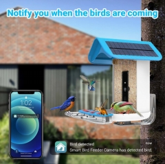 BF23B Smart Bird Feeder with WI-FI Camera