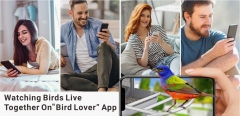 BF29D 3K WIFI AI RECOGNITION BIRD FEEDER