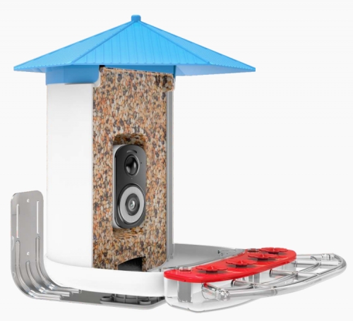 BF29D 3K WIFI AI RECOGNITION BIRD FEEDER