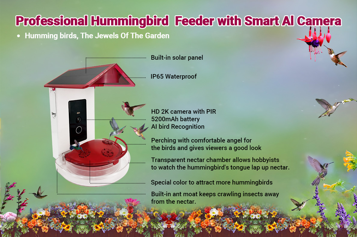 Bird Lover ---Smart bird recognition feeder